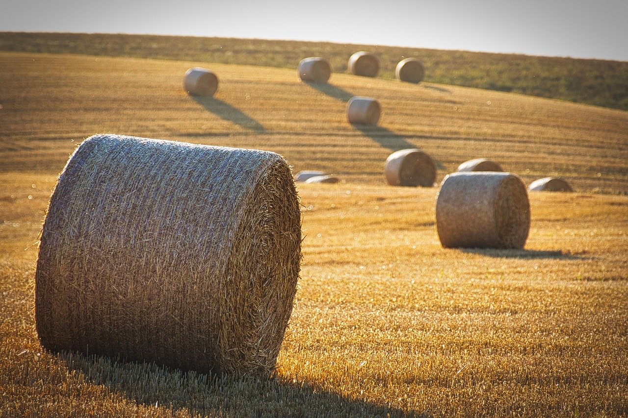 English for Agriculture and the Earth Sciences
